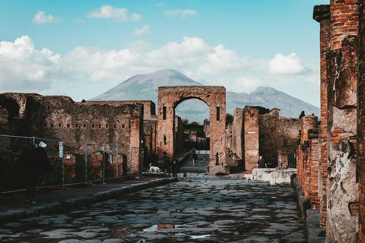Pompei & Vesuvio full day 